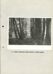 Ewidencja parkowa, skan nr 21