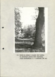 Ewidencja parkowa, skan nr 22