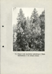 Ewidencja parkowa, skan nr 24