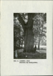 EP - Ewidencja parkowa, skan nr 14