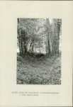 EP - Ewidencja parkowa, skan nr 54