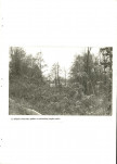Ewidencja parkowa, skan nr 35
