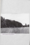 EP - Ewidencja parkowa, skan nr 40