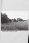 EP - Ewidencja parkowa, skan nr 41
