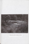 EP - Ewidencja parkowa, skan nr 28