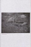EP - Ewidencja parkowa, skan nr 35