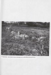 EP - Ewidencja parkowa, skan nr 29