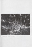 EP - Ewidencja parkowa, skan nr 30