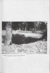 EP - Ewidencja parkowa, skan nr 31