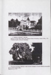 Ewidencja parkowa, skan nr 16