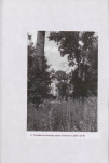 Ewidencja parkowa, skan nr 42