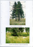 EP - Ewidencja parkowa, skan nr 38
