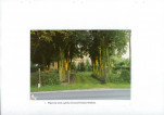 EP - Ewidencja parkowa, skan nr 31