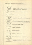Ewidencja parkowa, skan nr 28