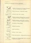 Ewidencja parkowa, skan nr 29