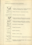 Ewidencja parkowa, skan nr 29