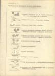 EP - Ewidencja parkowa, skan nr 28