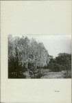 Ewidencja parkowa, skan nr 14
