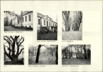 Karta biała, skan nr 6