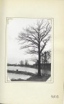 Ewidencja parkowa, skan nr 26