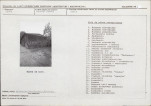 Karta biała, skan nr 5