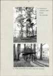 Ewidencja parkowa, skan nr 15