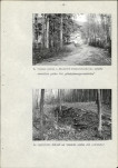 Ewidencja parkowa, skan nr 16