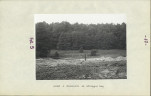 Ewidencja parkowa, skan nr 23