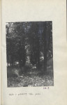Ewidencja parkowa, skan nr 36