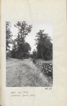 Ewidencja parkowa, skan nr 50