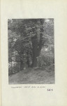 Ewidencja parkowa, skan nr 29