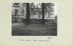 Ewidencja parkowa, skan nr 21