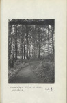 Ewidencja parkowa, skan nr 29