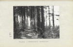 Ewidencja parkowa, skan nr 34