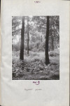 Ewidencja parkowa, skan nr 19