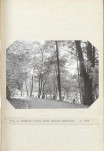Ewidencja parkowa, skan nr 20