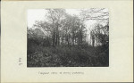 Ewidencja parkowa, skan nr 25