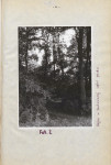 Ewidencja parkowa, skan nr 18