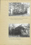 Ewidencja parkowa, skan nr 16