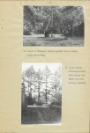 Ewidencja parkowa, skan nr 17
