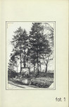 Ewidencja parkowa, skan nr 13