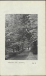 Ewidencja parkowa, skan nr 28