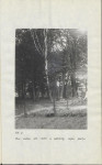 Ewidencja parkowa, skan nr 18