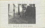 Ewidencja parkowa, skan nr 19