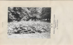 EP - Ewidencja parkowa, skan nr 32