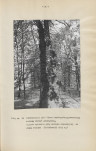 Ewidencja parkowa, skan nr 27