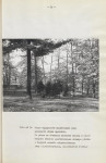 Ewidencja parkowa, skan nr 28