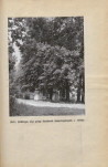 Ewidencja parkowa, skan nr 33