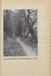 Ewidencja parkowa, skan nr 25