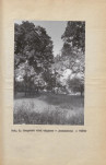 Ewidencja parkowa, skan nr 27